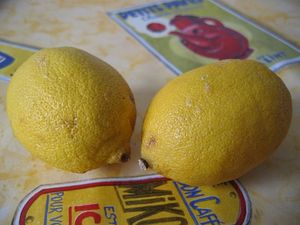 blog_lemon1