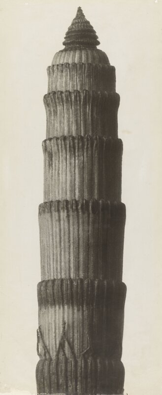 75166_112168
