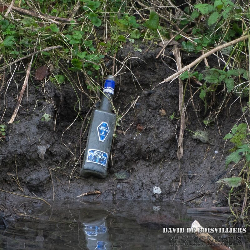 Pollution -Vodka