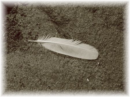 plume05lp8