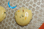 CHOUX_SALE7