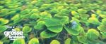 1001_photo_allemagne_2