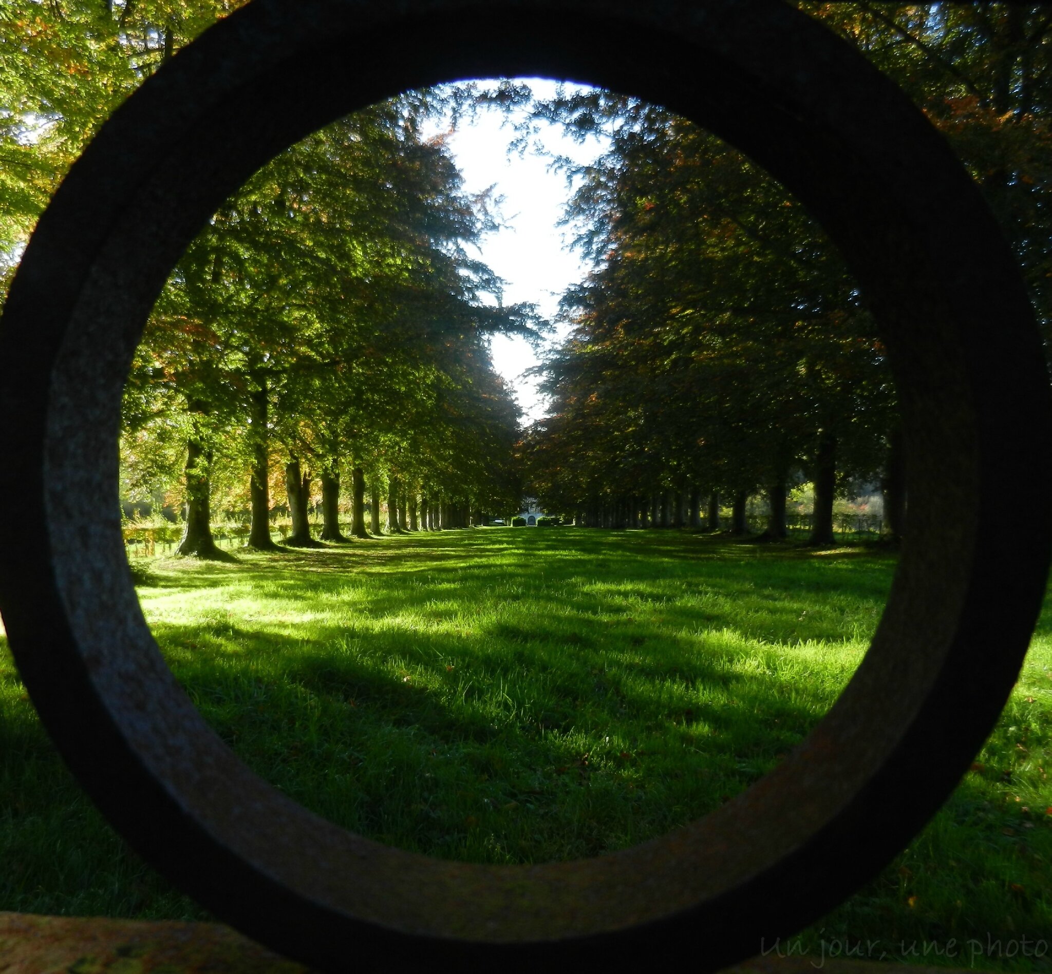 8-31 octobre 2015