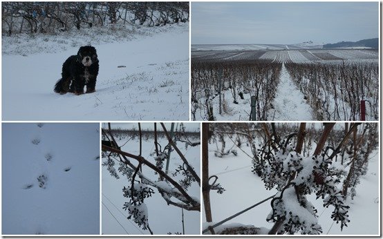 neige le 18 janvier 20244