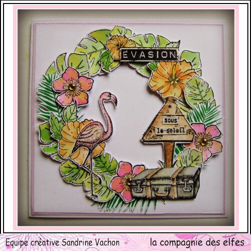 Carte exotique EVASION dt LCDE (1)