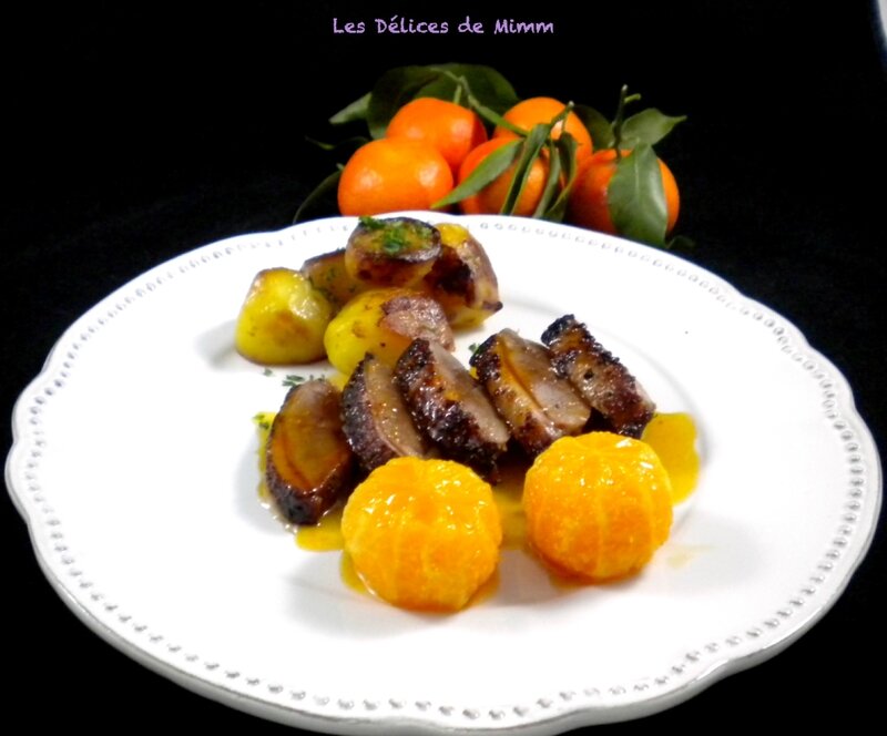 FiletsdecanardauxClémentines5