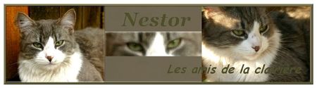 Nestor-Bannière