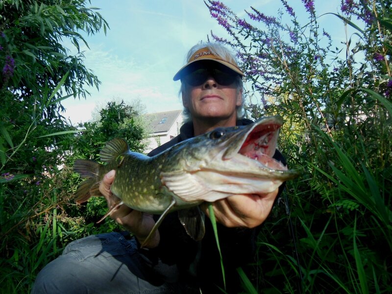 140828 brochet polder hollande (1)