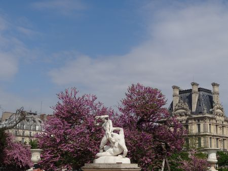 DSC00967