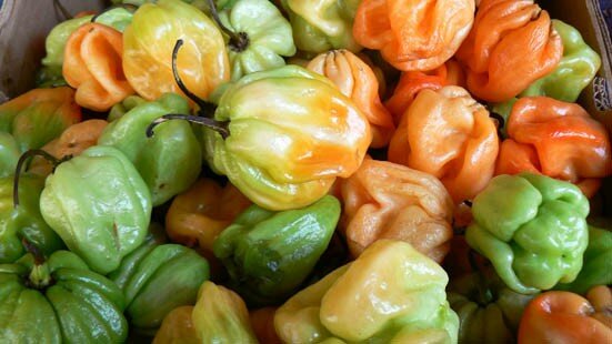 habaneros3