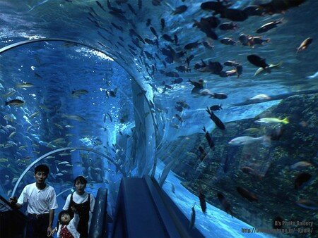 aquarium_001