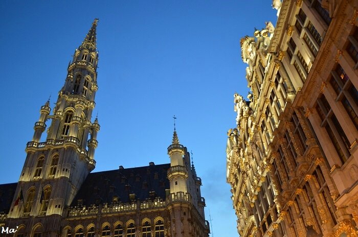 180113_BXL_Grand_Place_8
