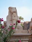 Louxor__temples_de_Karnak__3_