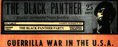 the_black_panther