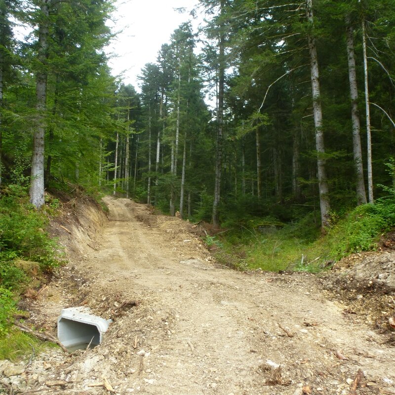 G nouvelle piste de débardage