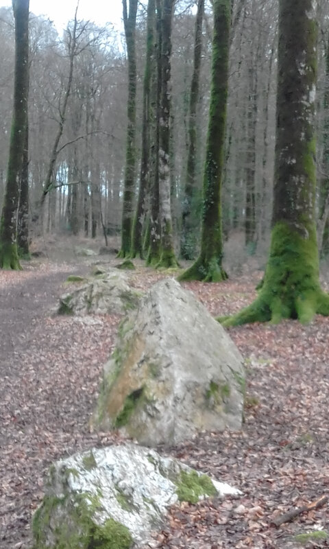 laines au grand puy 082