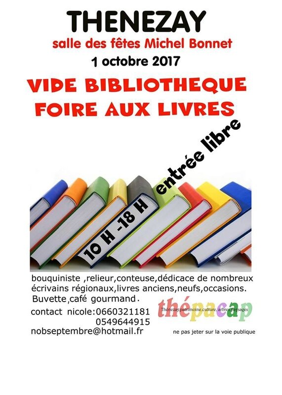 Thénezay salon du livre vide bib