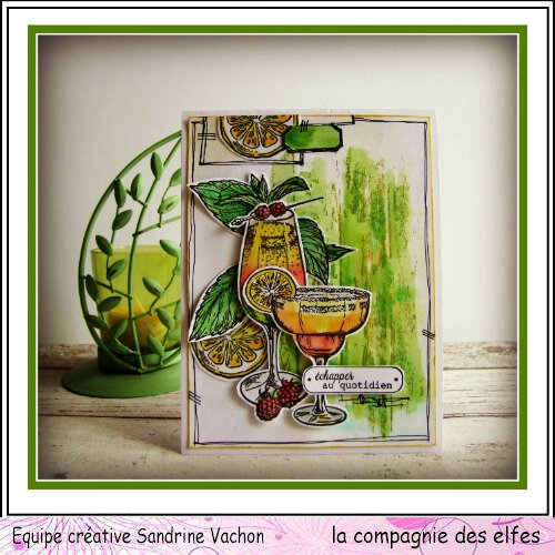Sandrine VACHON dt LCDE juin (1)