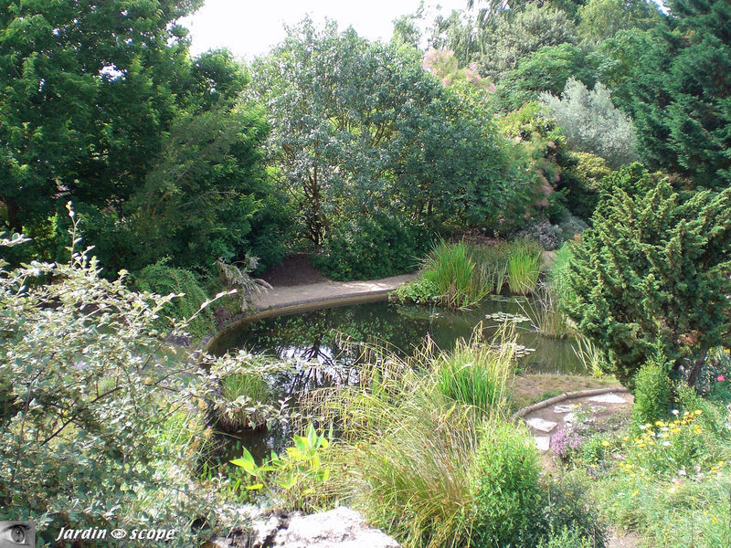 Jardin d'eau