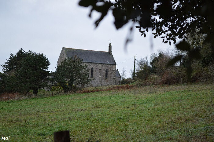 181231_verger_4