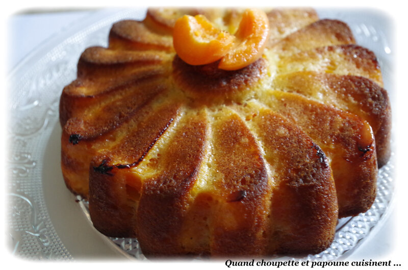 gâteau à l'abricot-0279