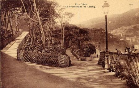 PL_b___16__Promenade_de_L_tang_B