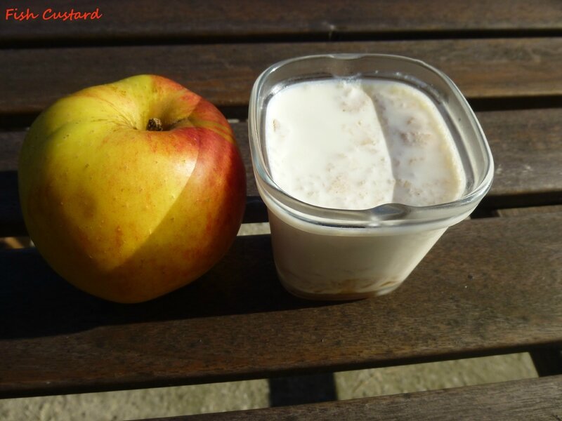 Yaourt à la pomme et à la vanille (1)