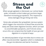 gut health 2
