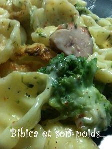 Gratin de pâtes au poulet et brocolis gros plan 2