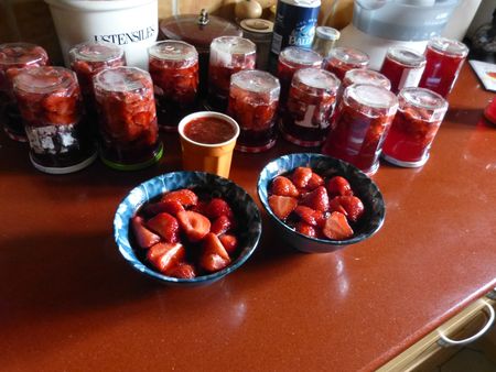 fraises et tartare 005