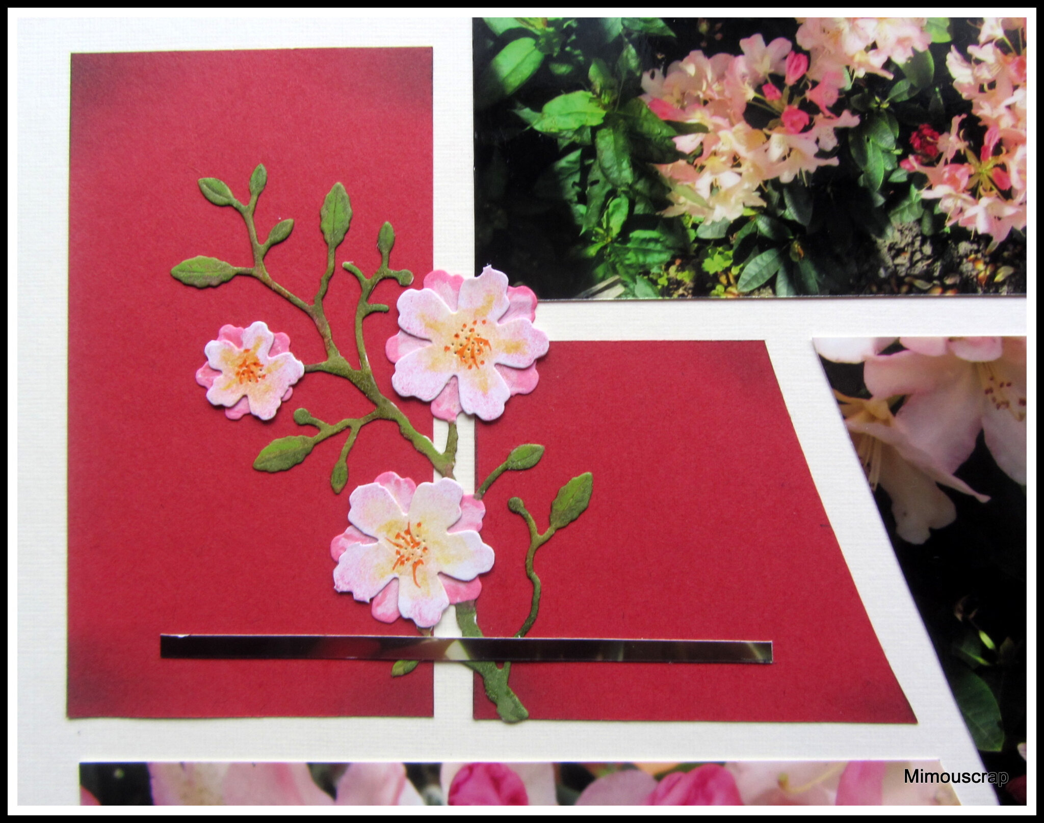 Jardin 2016 024