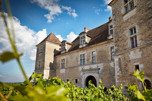 -chateau-du-clos-de-vougeot