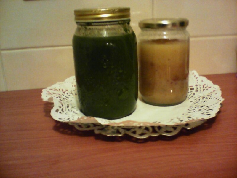 bocaus_soupe__pinard_carottes_et_compote