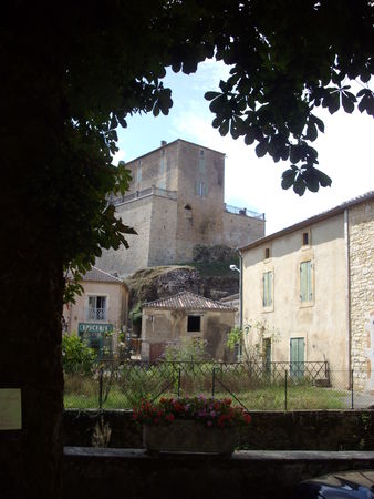 IMGP4959