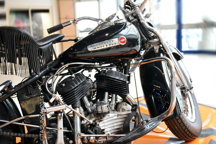 Harleys_CopyrightTasunkaphotos2014_15