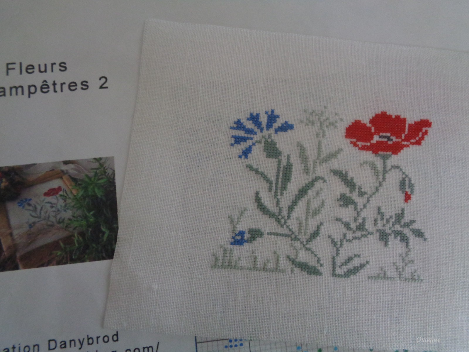 fleurs champêtres 2