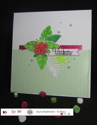 Sy89_création 2 avec le Sketch Australe _sept 23