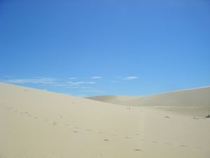 3 - Dune (4)