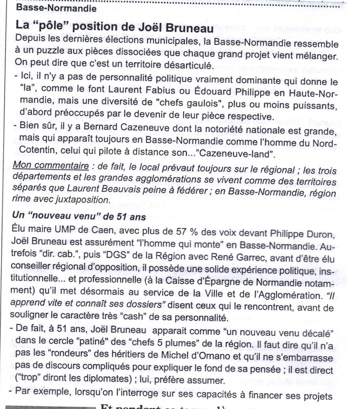 Bruneau_le_bouineur_1