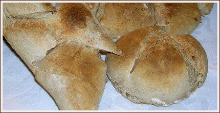 recettes legumes Petits pains aux graines au levain + levure