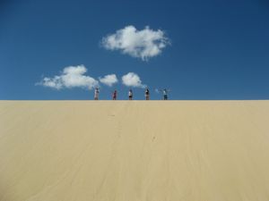 3 - Dune (60)