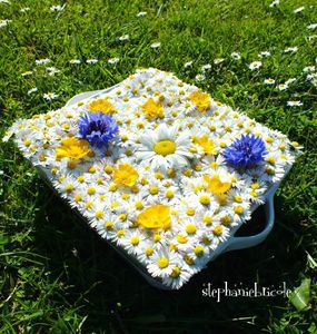 DIY ACTIVITE ENFANT