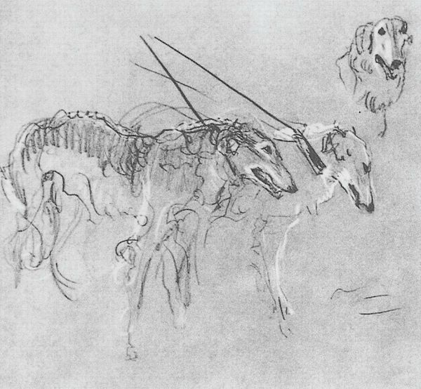 greyhounds-royal-hunting-1901