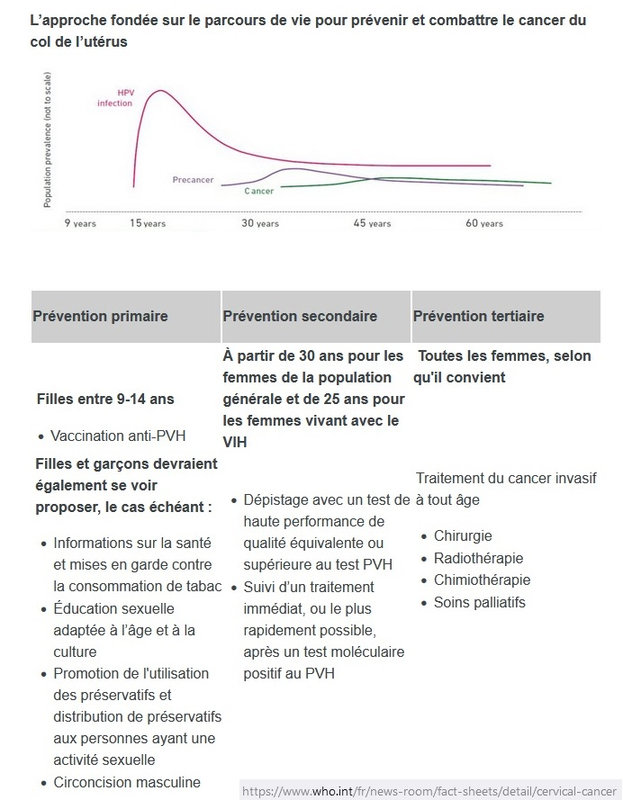 _yartiPapillomavirus08