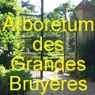 ARBORETUM DES GRANDES BRUYERES (45)