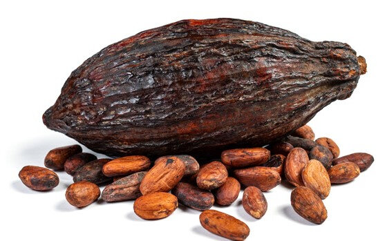 Les-feves-de-cacao-de-Sao-Tome-et-principe