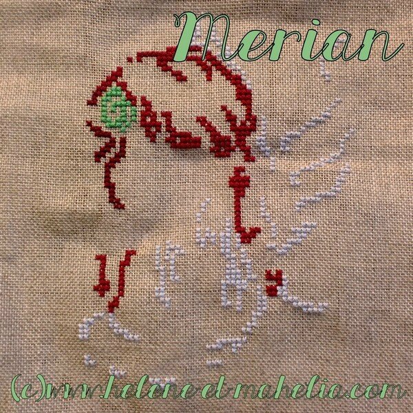 merian ES_salfev15_3