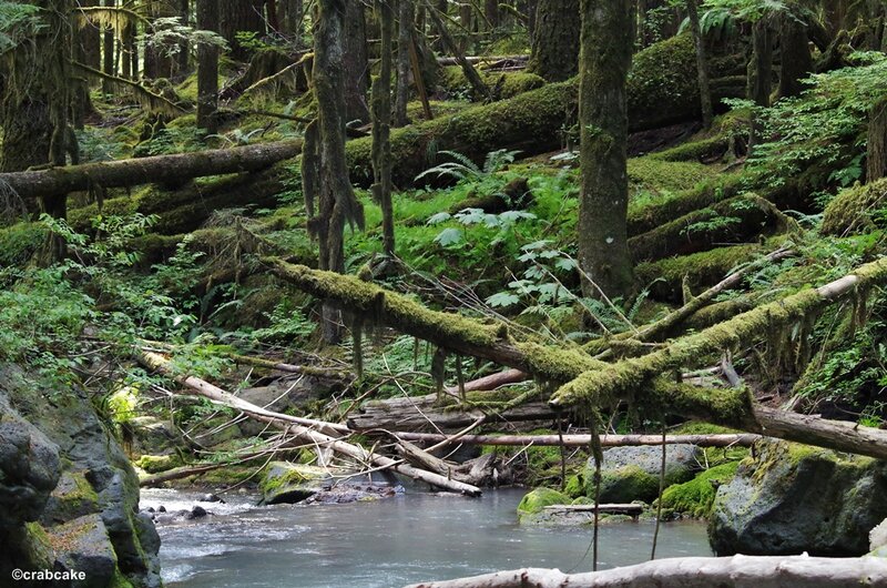 Sulphur River Mount Baker 3