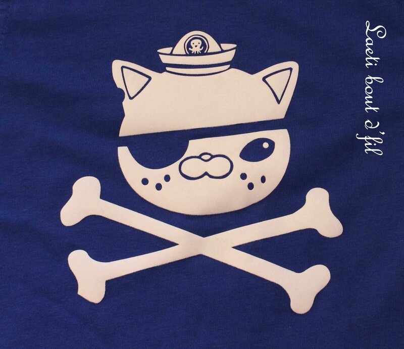 chat pirate d
