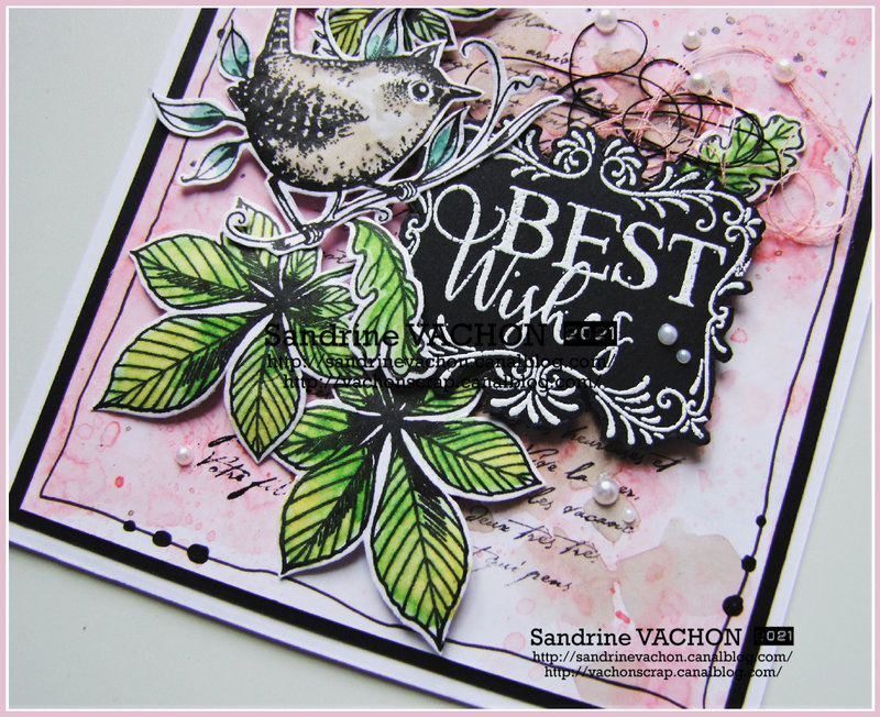 Carte BEST WISHES Pink Ink Designs (3)